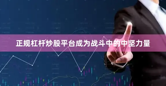 正规杠杆炒股平台成为战斗中的中坚力量