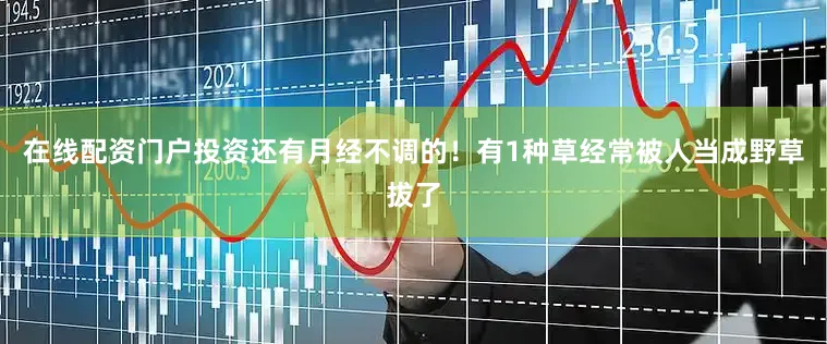 在线配资门户投资还有月经不调的！有1种草经常被人当成野草拔了