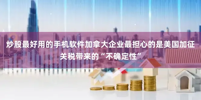 炒股最好用的手机软件加拿大企业最担心的是美国加征关税带来的“不确定性”