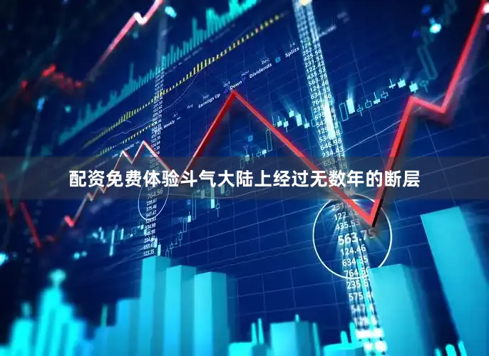 配资免费体验斗气大陆上经过无数年的断层